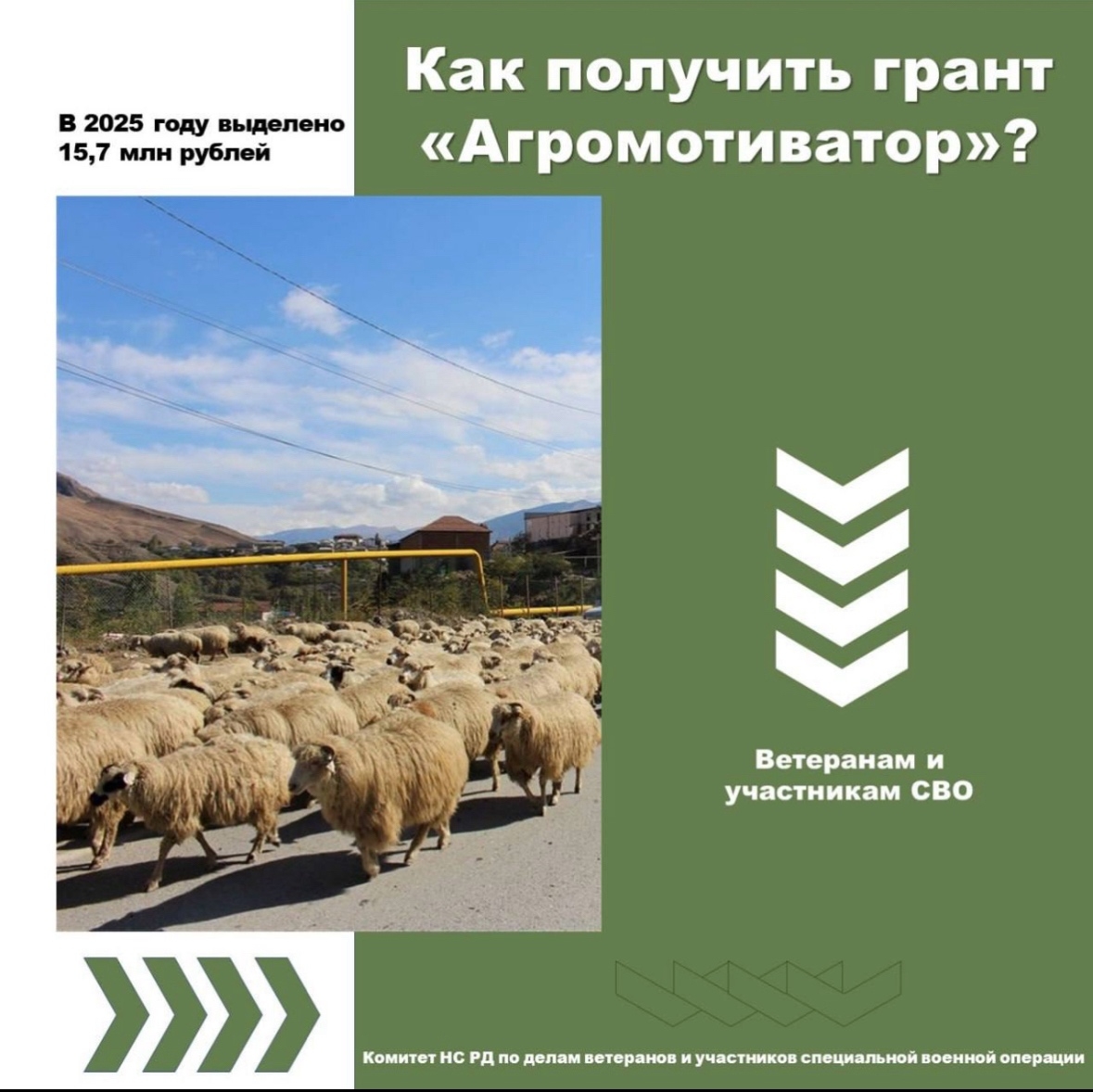 15,7 млн рублей выделено участникам СВО в виде гранта «Агромотиватор».